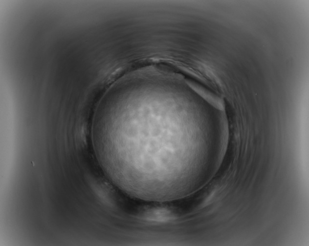 X0000086790643200704201844