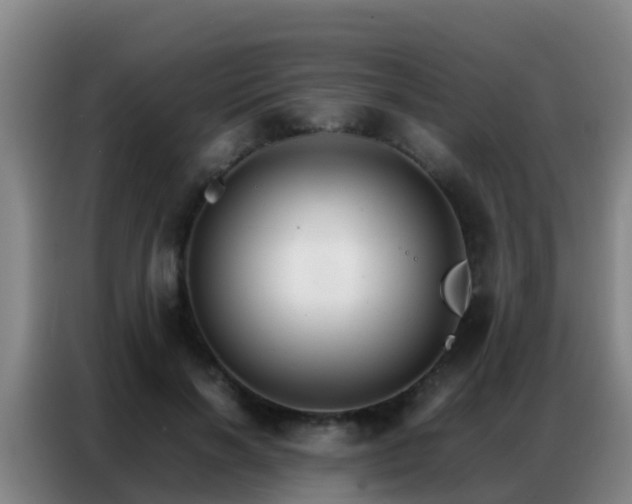 X0000086790646200704201844
