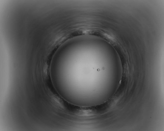 X0000086790650200704201844