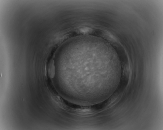 X0000086790651200704201844