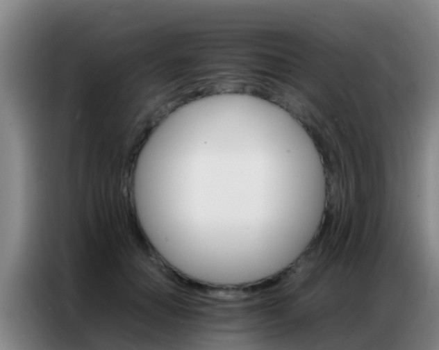 X0000086790654200704201844