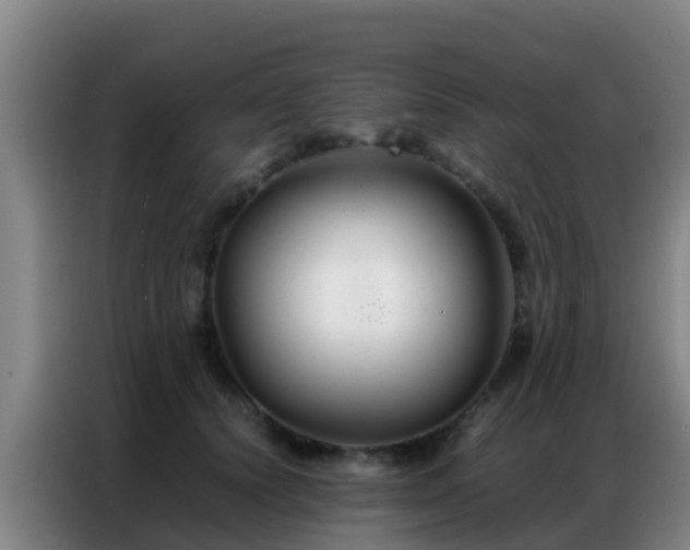 X0000086790656200704201844