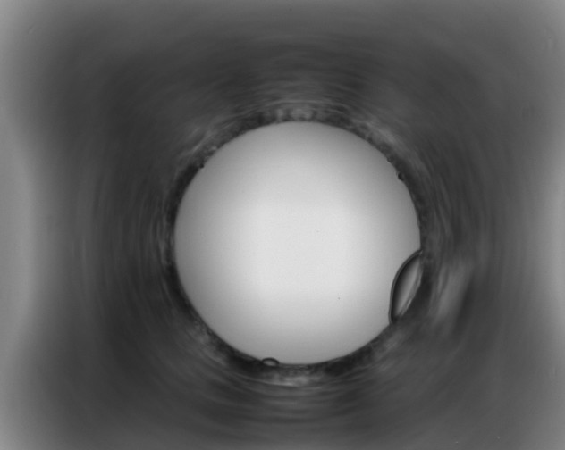 X0000086790661200704201844