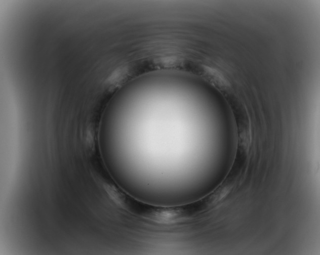 X0000086790662200704201844
