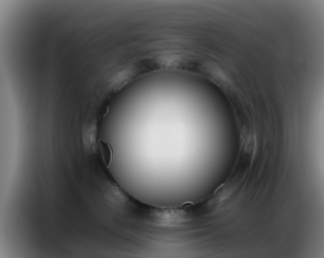 X0000086790670200704201845