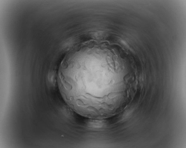 X0000086790671200704201845