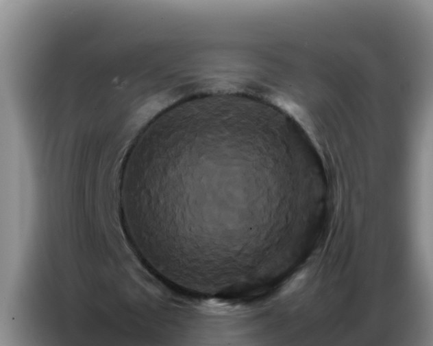 X0000086790673200704201844