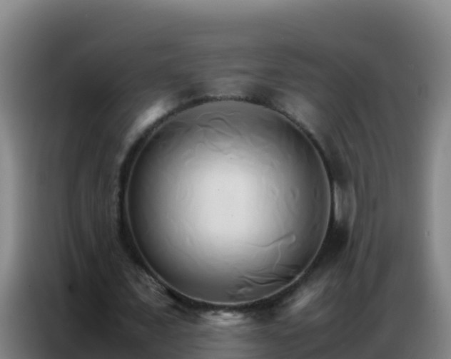 X0000086790675200704201844