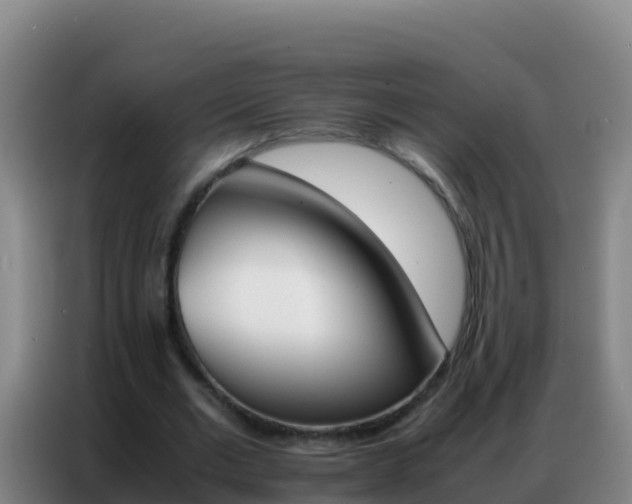 X0000086790677200704201844