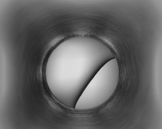 X0000086790678200704201844