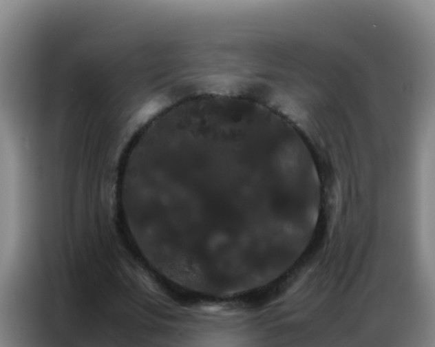 X0000086790679200704201844