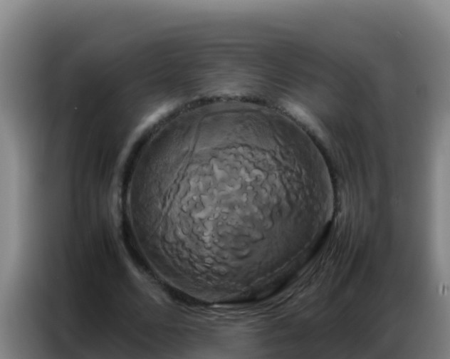 X0000086790680200704201844