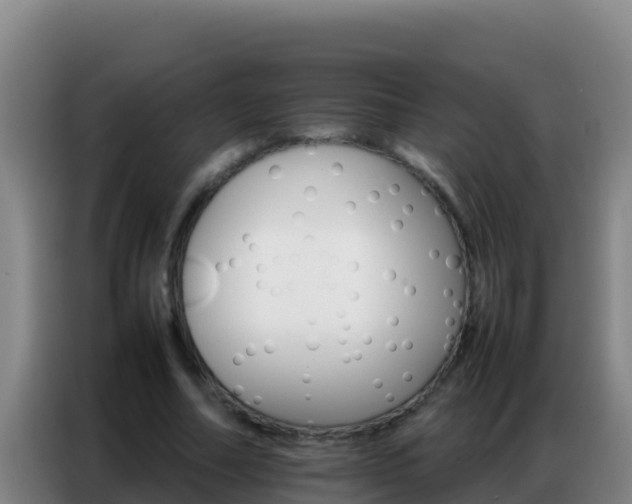 X0000086790682200704201844