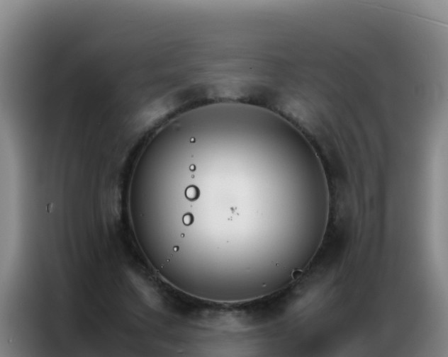 X0000086790683200704201844