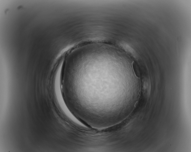 X0000086790684200704201844