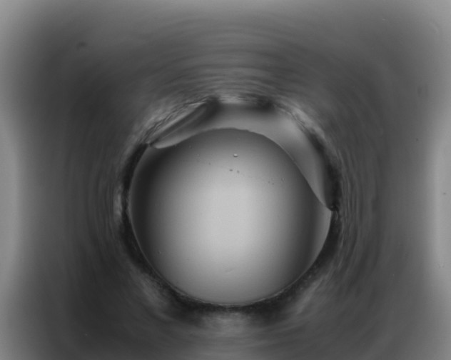 X0000086790685200704201844