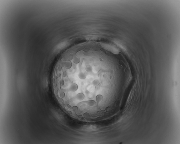 X0000086790687200704201844