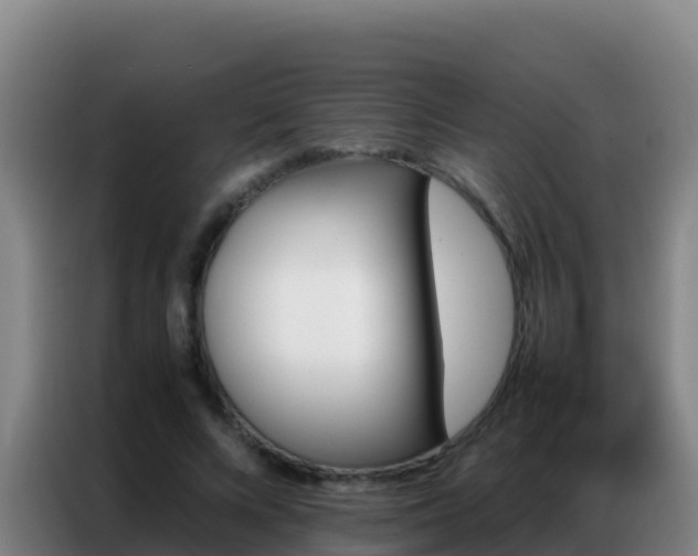 X0000086790688200704201844