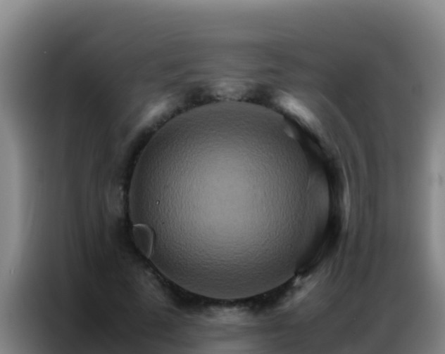X0000086790689200704201844