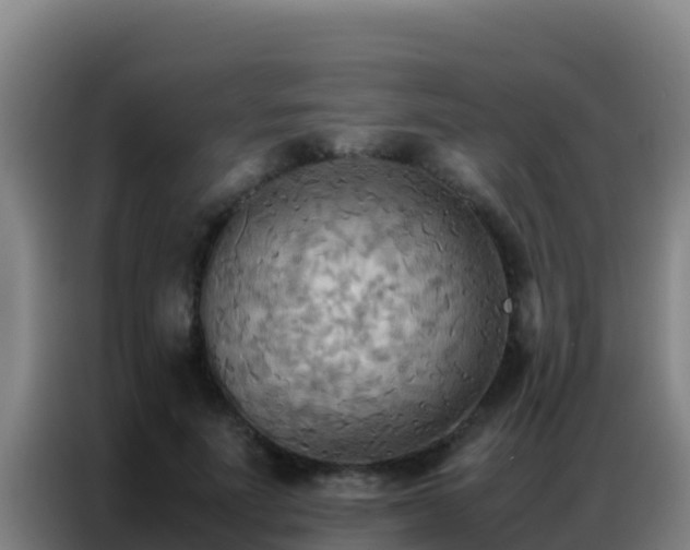 X0000086790691200704201844