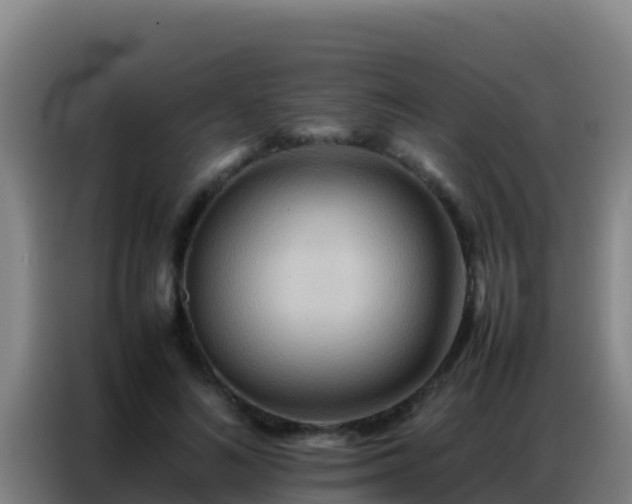 X0000086790692200704201844