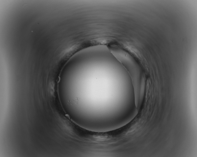 X0000086790693200704201844