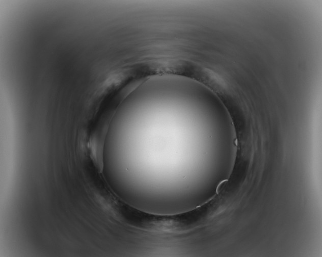 X0000086790695200704201844