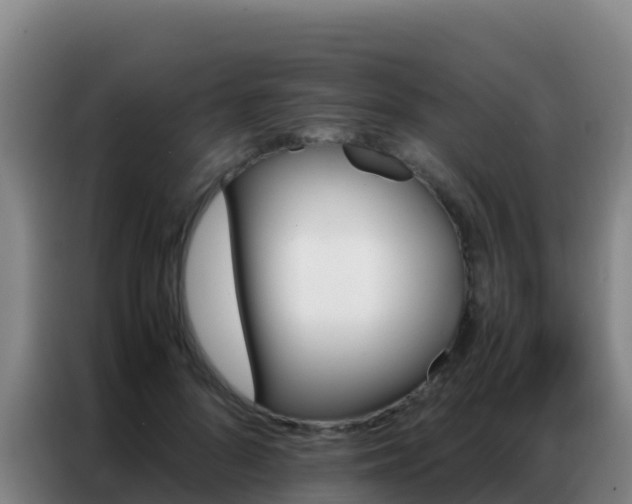 X0000086790696200704201844
