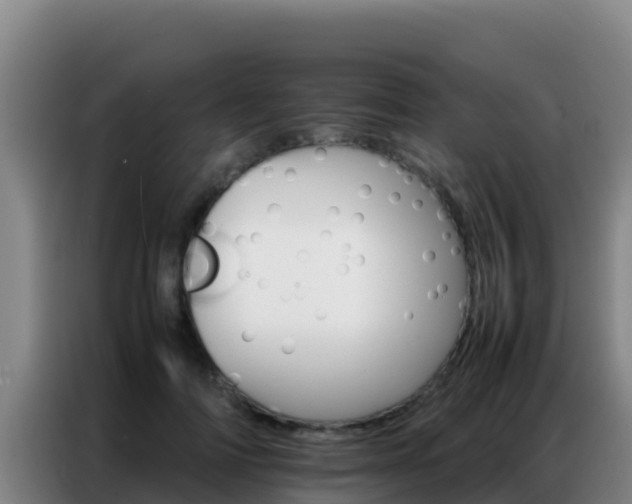 X0000086790698200704201844