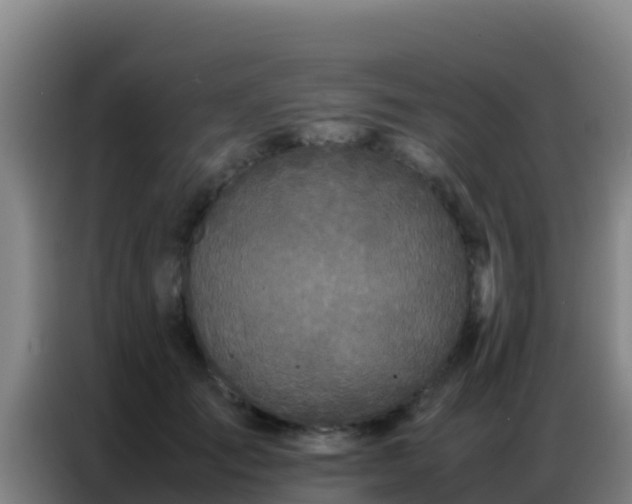 X0000086790701200704201844