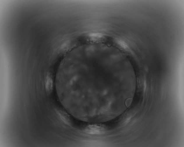 X0000086790703200704201844