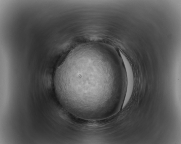 X0000086790704200704201844