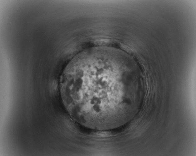 X0000086790711200704201844