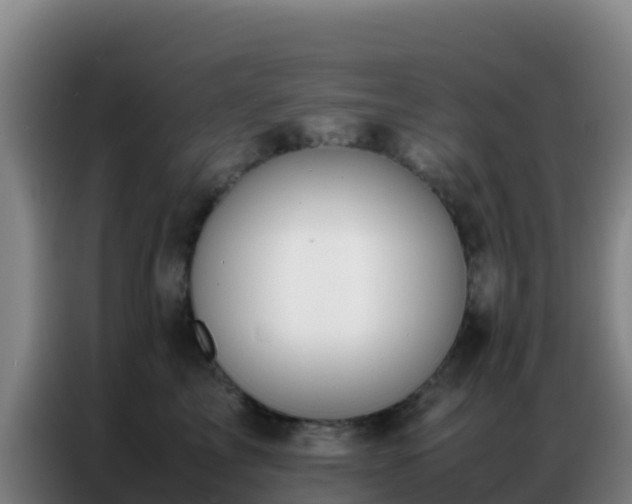 X0000086790713200704201844