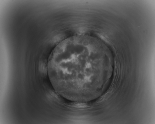 X0000086790719200704201843