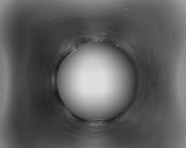 X0000086790720200704201843