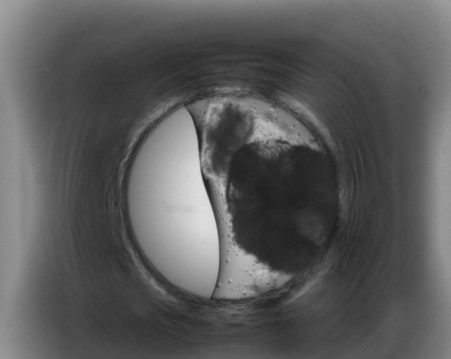 X0000086790721200704201843