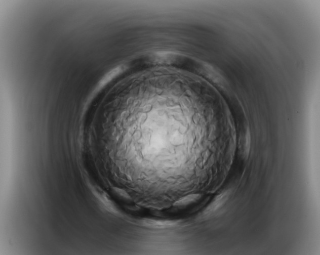X0000086790722200704201843