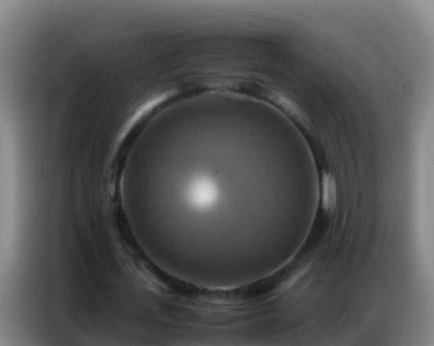 X0000086790723200704201843