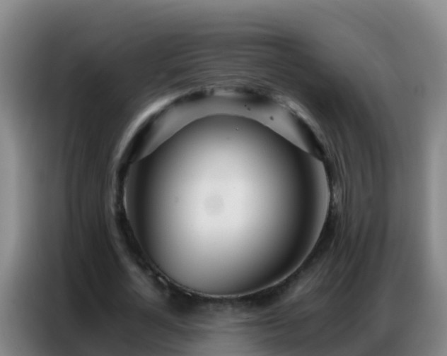 X0000086790724200704201843