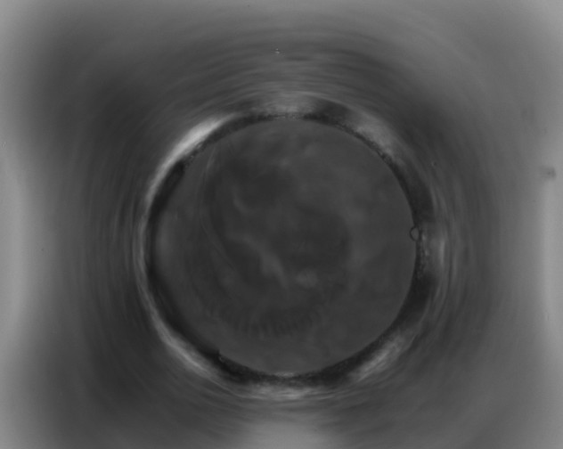 X0000086790726200704201843