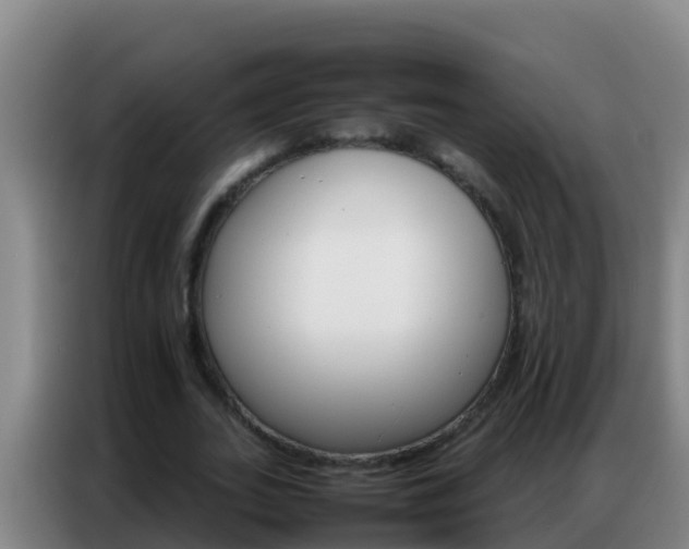 X0000086790727200704201843