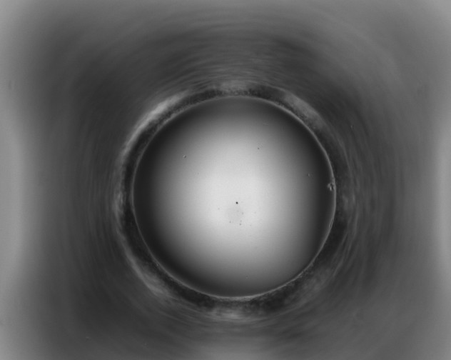 X0000086790728200704201843