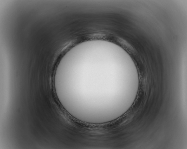 X0000086790729200704201843