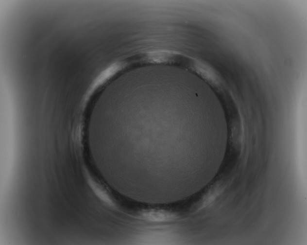 X0000086790730200704201843