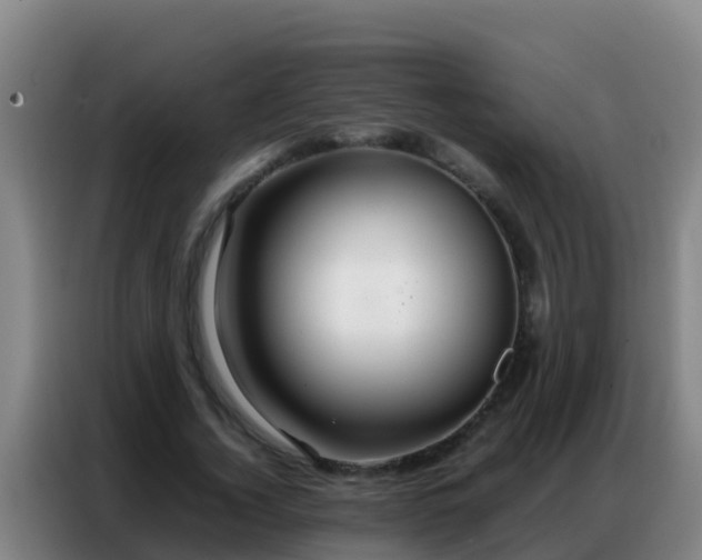 X0000086790732200704201843