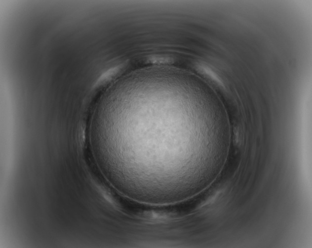 X0000086790733200704201843