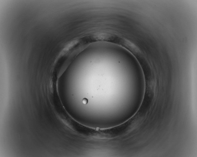 X0000086790734200704201843
