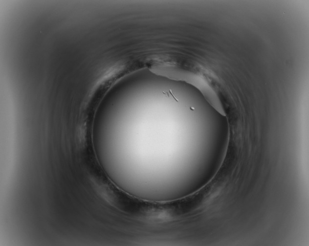 X0000086790735200704201843