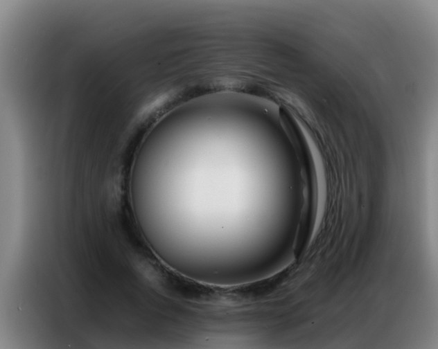 X0000086790736200704201843